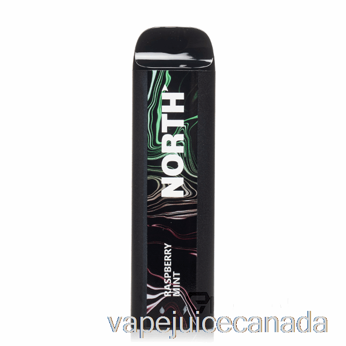 Vape Canada North 5000 Disposable Raspberry Mint
